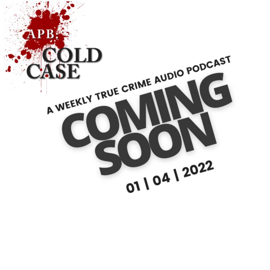 APB Cold Case Promo S102