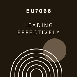 BU7066 - Leading Effectively