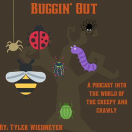 Buggin Out