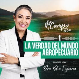 Campo360