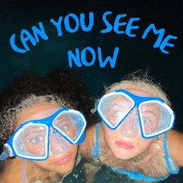 Can You See Me Now