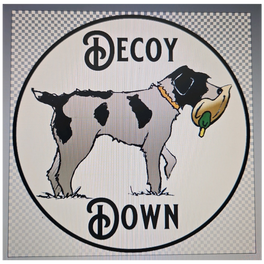 Decoy Down