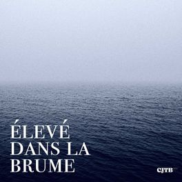 Élevé dans la brume