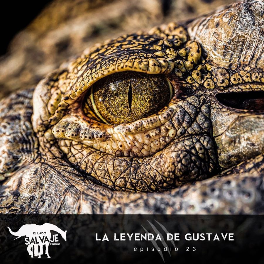 El Lado Salvaje - La Leyenda De Gustave 