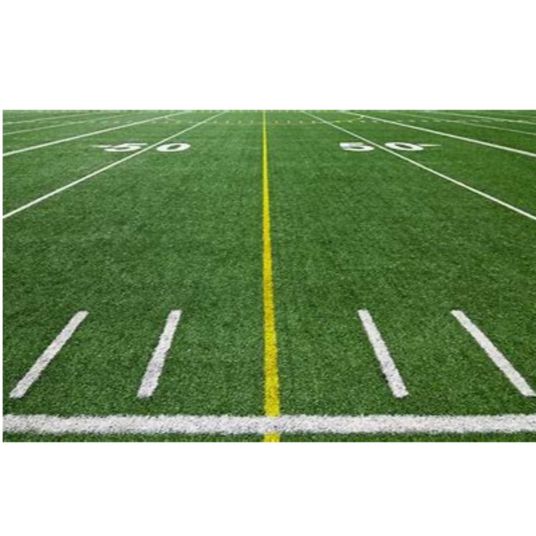 The Football Frame of Mind Podcast