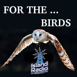 For the Birds