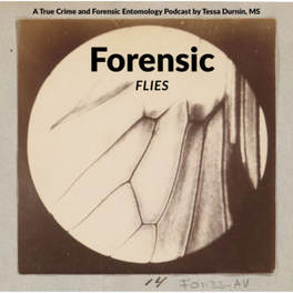 Forensic Flies
