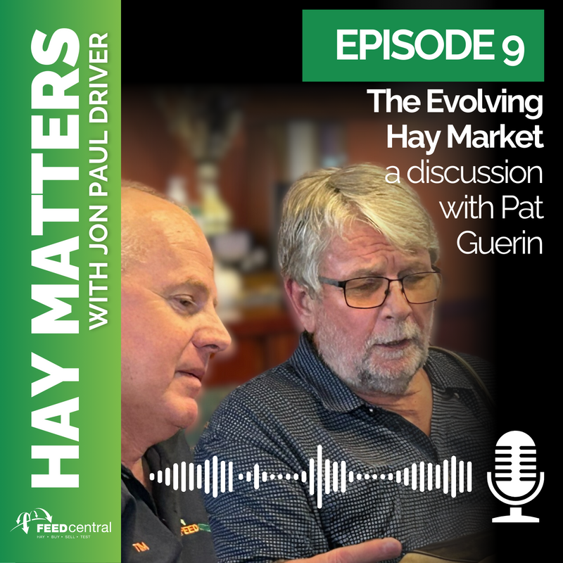 Hay Matters The Evolving Hay Market a discussion with Pat Guerin