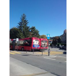 Hüehnernäscht