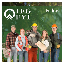 IFG | FYI