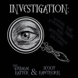 investigation: