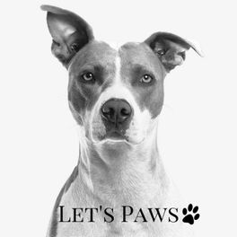 Let's Paws