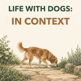 Life With Dogs: In Context