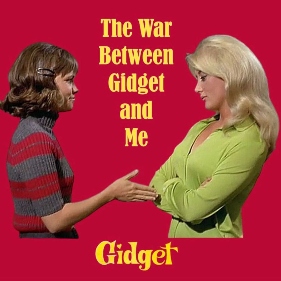 linda-s-bumpy-ride-on-a-bumpy-road-the-war-between-gidget-and-me