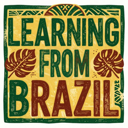 Learning from Brazil