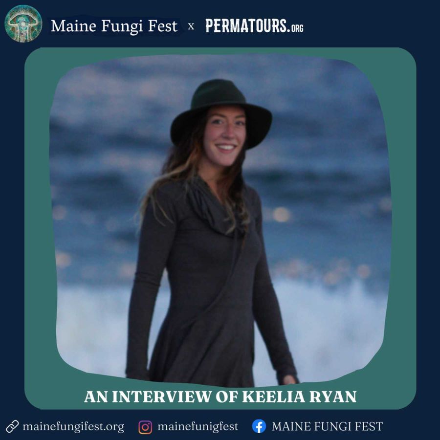 Interviews Captured at Maine Fungi Fest 2023, Produced by Permatours