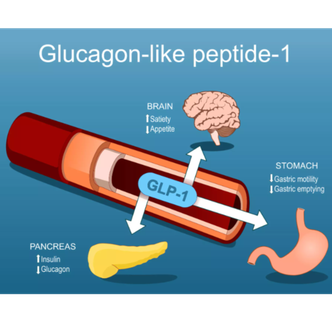 still craving sugar on semaglutide GLP-1 Medications and Cravings: How Ozempic & Wegovy Affect Appetite