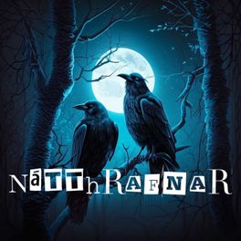 Nátthrafnar