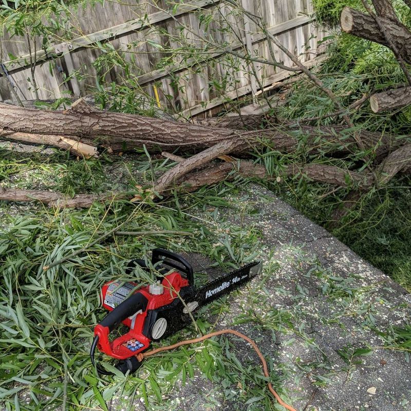 Nerds With Chainsaws Airplanes and Video Games with Scout Perryman