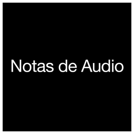 Notas de Audio