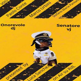 ONOREVOLE DJ E SENATORE VJ