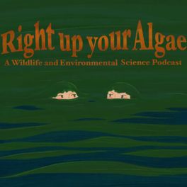 Right Up Your Algae