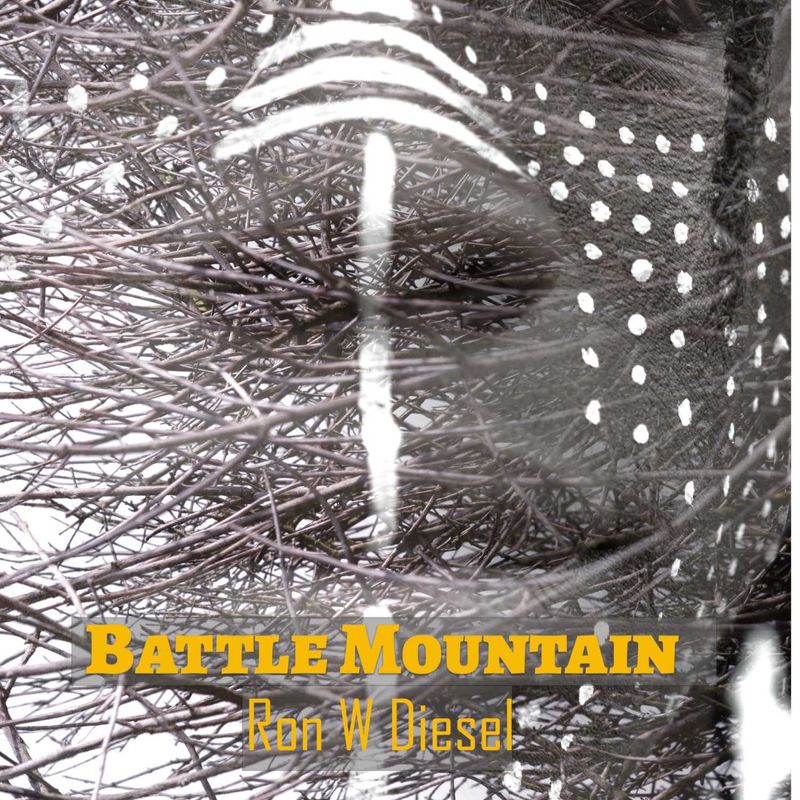 Battle Mountain The Kalkadoon War A Novel by Ron Diesel Chapter