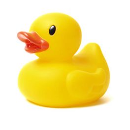 Rubber Ducking