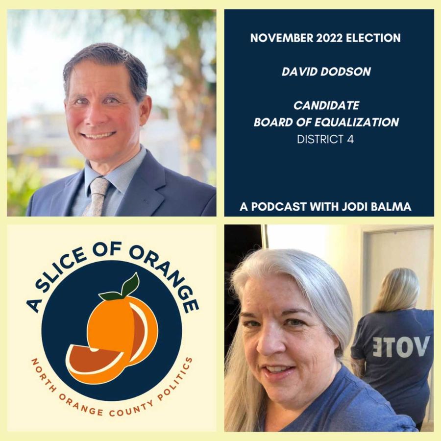 A Slice of Orange David Dodson, November 2022 Election Board of