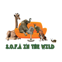 S.O.F.A In The Wild