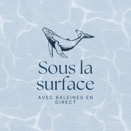 Sous la surface, avec Baleines en direct