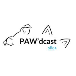 Nova Scotia SPCA PAW'dcast