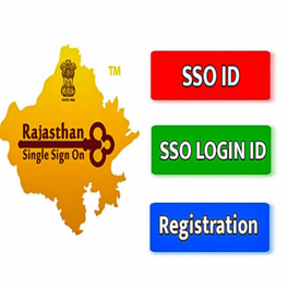 SSO Login Guide