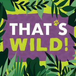 That's WILD! A Little Rock Zoo Podcast