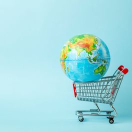The Cart