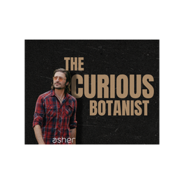 The Curious Botanist