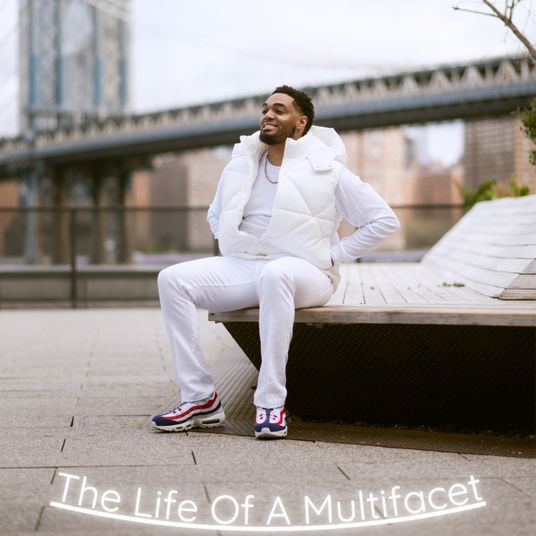 The Life Of A Multifacet