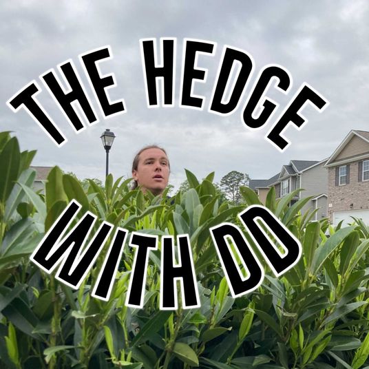 The Hedge with DD