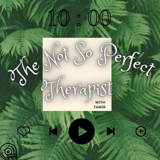 The Not So Perfect Therapist