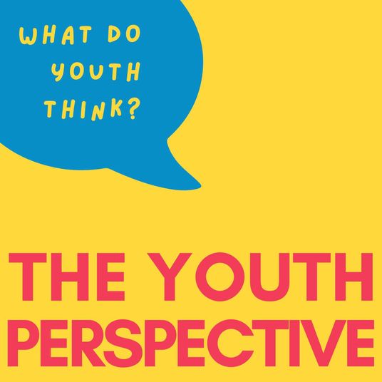 The Youth Perspective