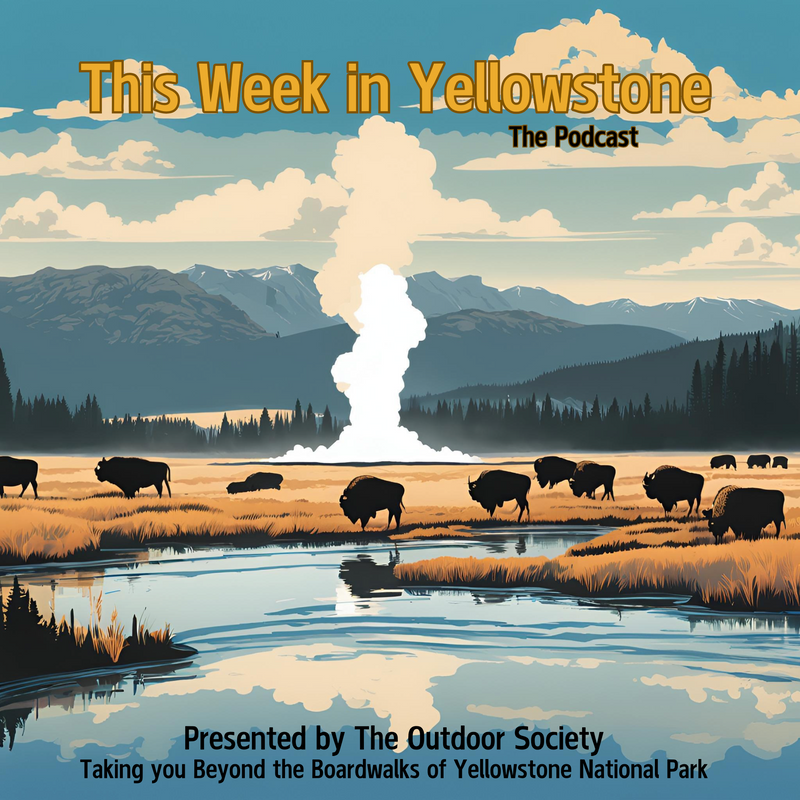 This Week in Yellowstone National Park | RSS.com