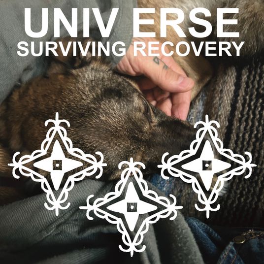 UNIV ERSE Surviving Recovery