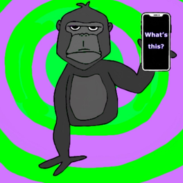 What's This?