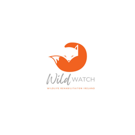 Wild Watch