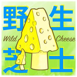 野生芝士WildCheese