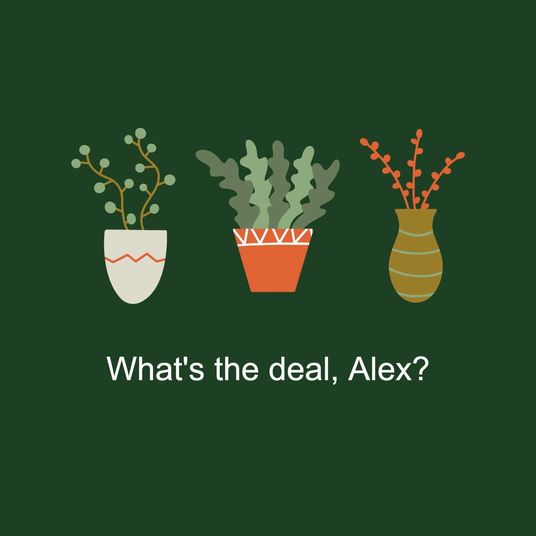 What's the deal?